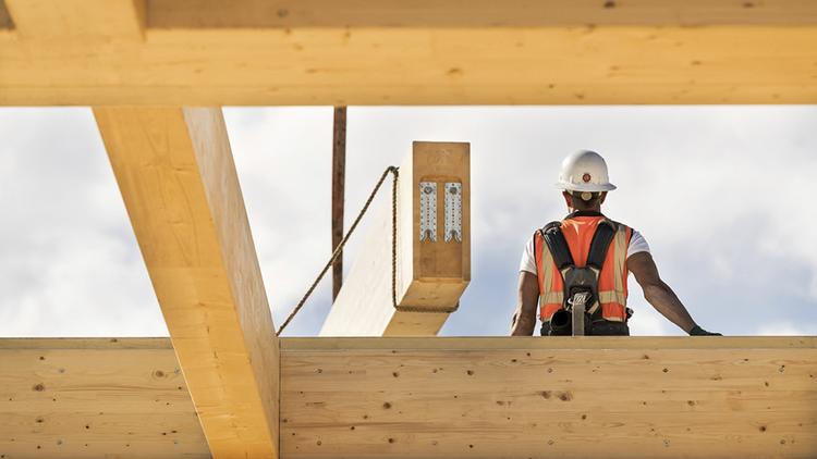 <strong>Embracing Sustainability: Leveraging Timber in Business and Construction</strong>